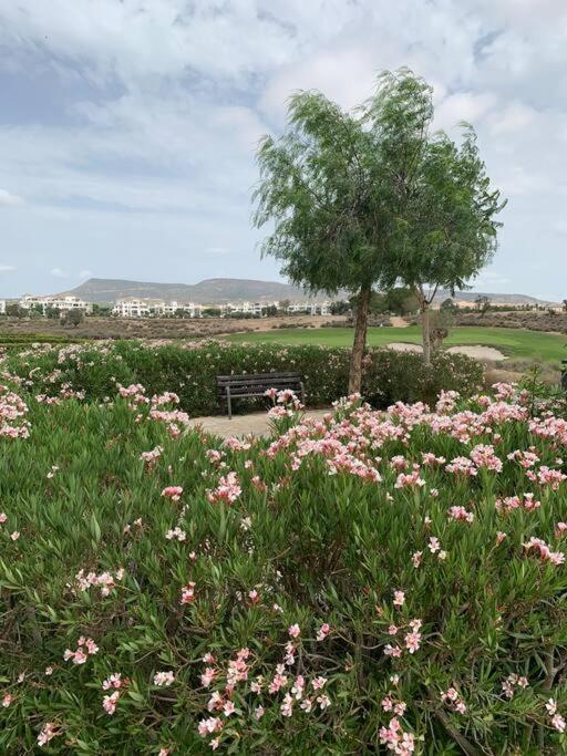 Апартаменти Casa-Zeelandia Hacienda Riquelme Sucina Murcia Екстер'єр фото