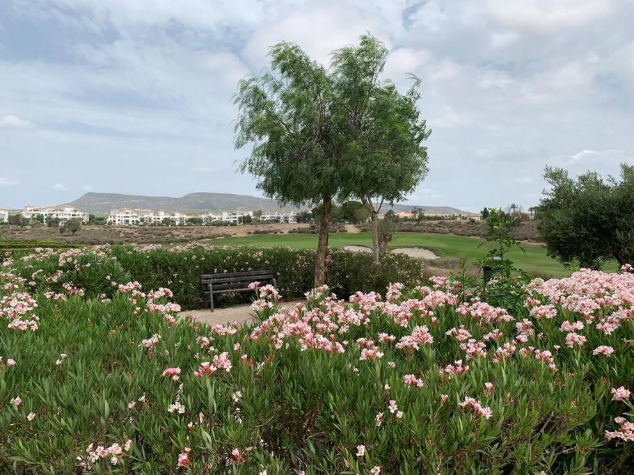 Апартаменти Casa-Zeelandia Hacienda Riquelme Sucina Murcia Екстер'єр фото